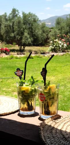 Les Jardins de Taja Les Jardins de Taja