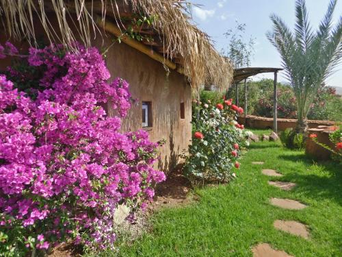 Les Jardins de Taja Les Jardins de Taja