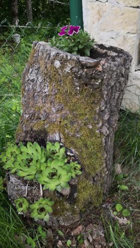 Koliba Pčelica 1 - image 11