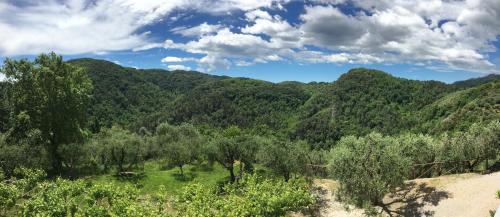 Caddelovi - Quiesa