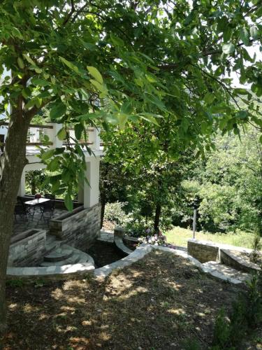 House in the forest, Tsagarada (fotografie 8)