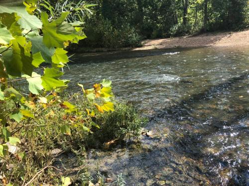 Meramec River Resort - image 5