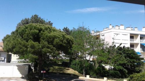 Utsikt, ESCALE AU GRAU DU ROI in Le Grau-du-Roi