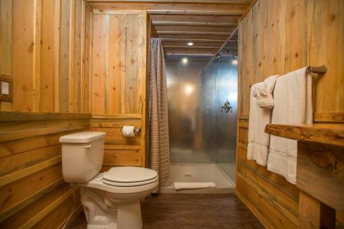 Zion Mountain Ranch - image 6