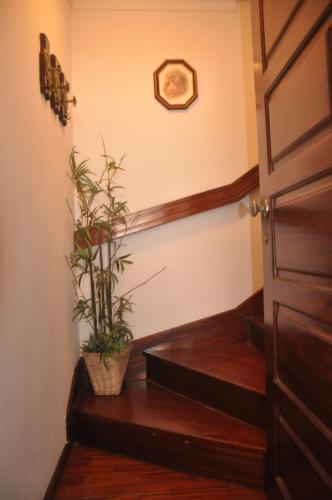 Tic Tac Apartment in Peniche