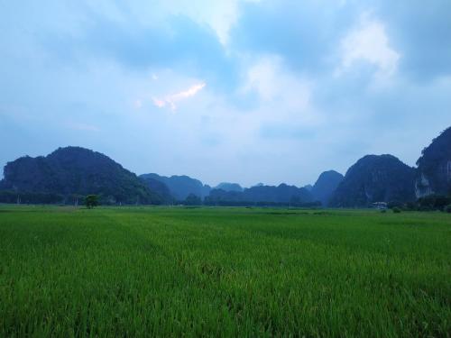 Tam Coc Holiday Hotel & Villa