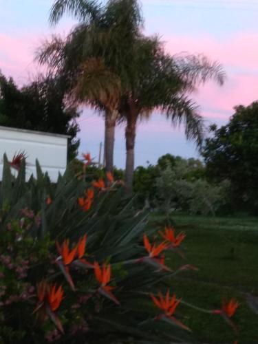 Villa Tania in Preveza