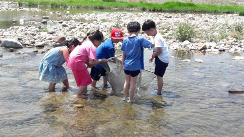 Andong Dasulki Camp — Photo 4