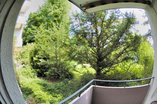 Nice studio in the city center - Vineyard 11, Curych (fotografie 10)