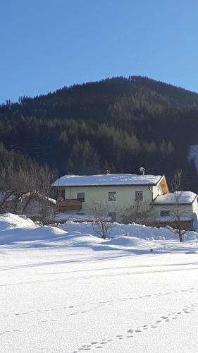 Ferienwohnung Pletzenauer - main image
