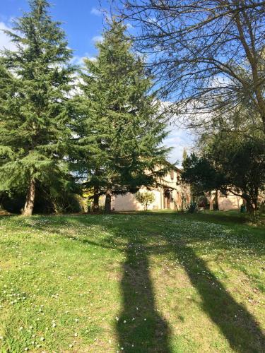  Agriturismo Bethsaid, Unterkunft in Fauglia