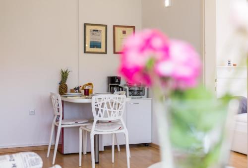Molnar Resort Apartment Ljiljana in 51511 Brzac