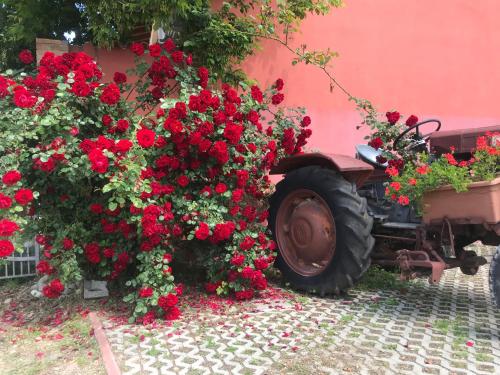 Agriturismo Mulino Bianco