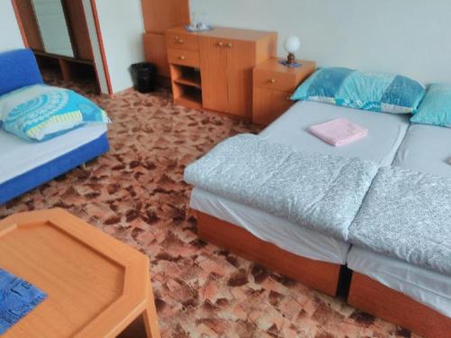 Hotel Jizera