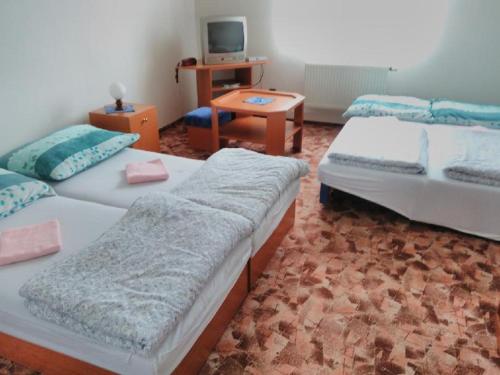 Hotel Jizera