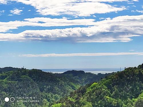 Antica casa in collina con vasta terrazza e panorama sul mare - Valpromaro