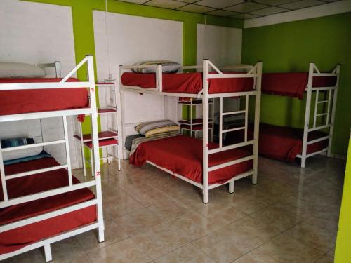 Hostel Richieri