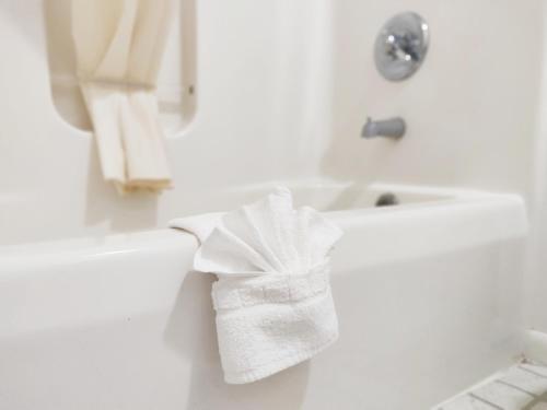 Countryside Inn Richmondville - image 7