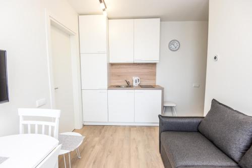 Apartment with Balcony image 6