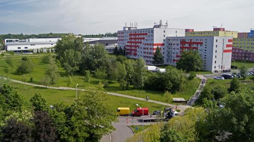 Bed in 6-Bed Mixed Dormitory Room