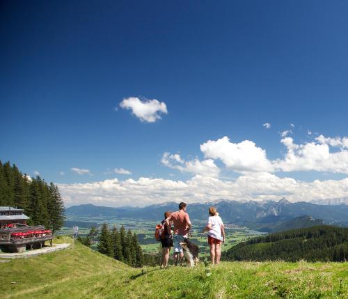 Hotel - Gasthof - Brauerei Post - image 9