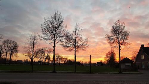  B&B De Zeven Berken in Nistelrode