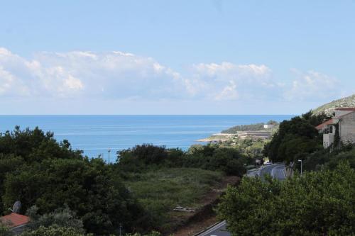 Apartments and rooms with parking space Mlini Dubrovnik - 8835