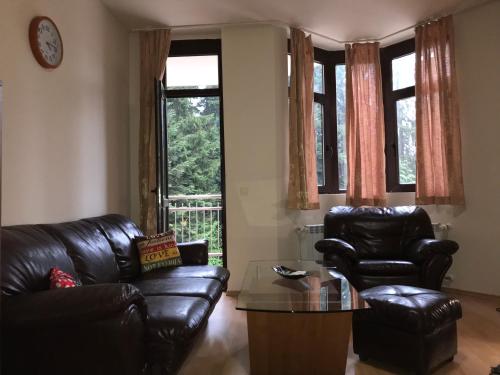 Studio in Hotel Flora Borovets