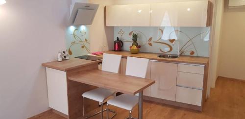Apartments with WiFi Rijeka - 15901