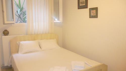 Palace Luxury Palio - image 2