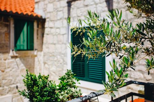 Villa Saint Lucas, Spalato (Split) (foto 8)