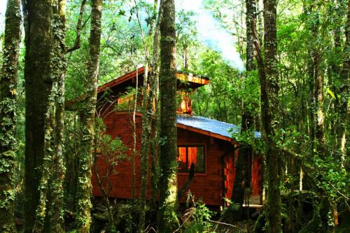 Cabañas Bosque Milenario - Accommodation - Coñaripe