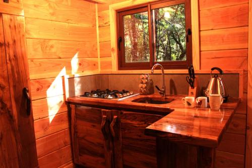Cabanas Bosque Milenario photo