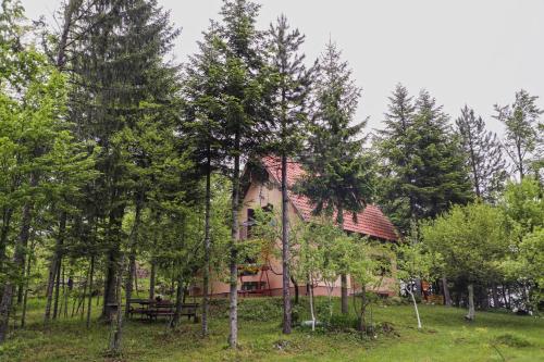 Dren - Banjska stena - image 13