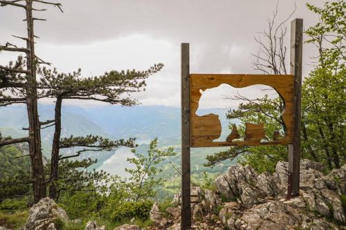 Dren - Banjska stena - image 7