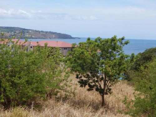 Skats, La kay dédé avec piscine (La kay dede avec piscine) in Saint-Pierre