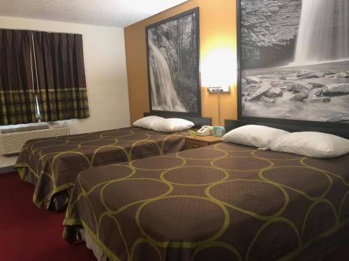 Super 8 by Wyndham Front Royal - image 8