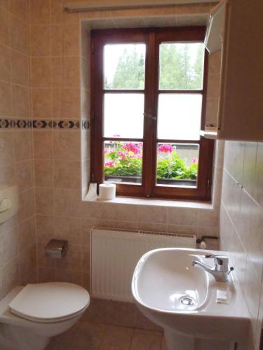 Pension U Háčků - image 6