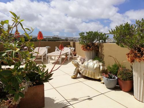 Three Cities Apartments - Location saisonnière - Cospicua