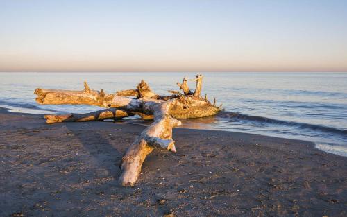 Camping Horizon Bar - image 11