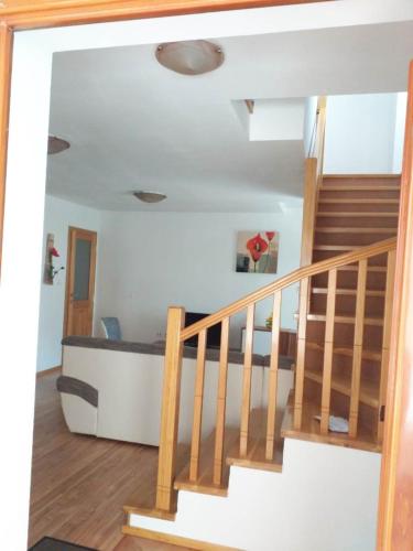  APP NIKO & TIN in Bale