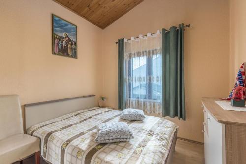 Apartment Lion - main image