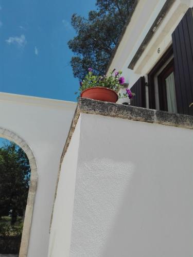 B&B Villa Rosanna Room Type - Double Room with Private Bathroom