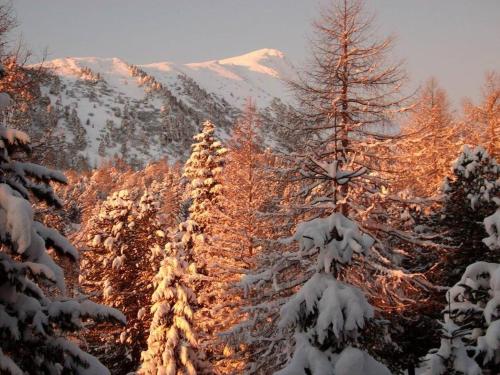 FELBER Huttn in 帕特爾加森