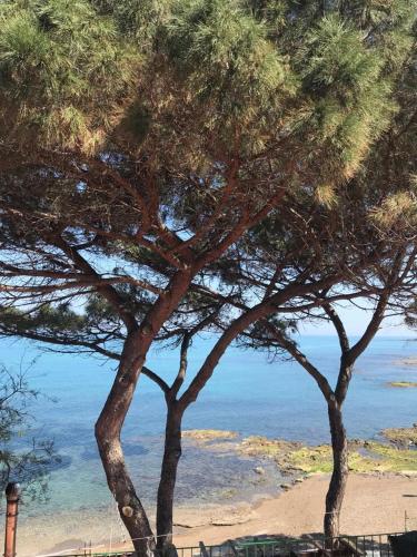 Le Terrazze sul Mare - Capo Aranciotto Beach - image 3