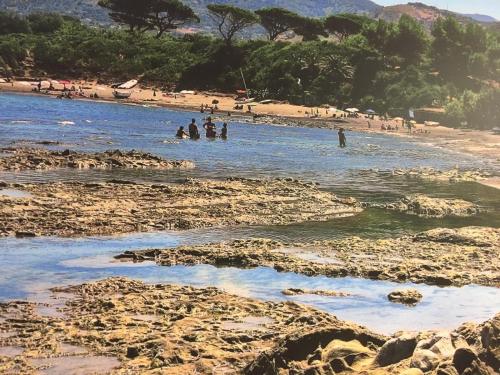 Le Terrazze sul Mare - Capo Aranciotto Beach - image 5