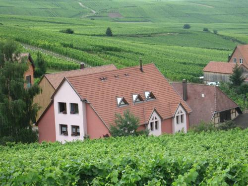 Studio chez le vigneron - Location saisonnière - Hunawihr