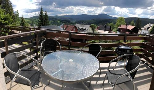 Apartmán U Sjezdovky (Apartman U Sjezdovky) in 鐵礦鎮