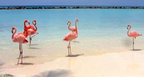 Exterior view of Il fenicottero Marzamemi