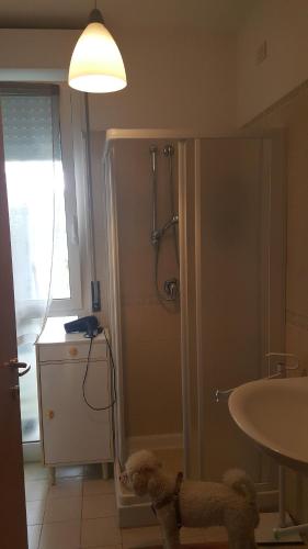 condominio vite in Misano Adriatico